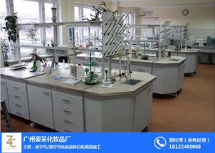 廣州姿采化妝品廠企業策劃 本土品牌崛起的戰略藍圖